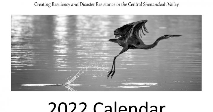 2022 Project Impact Calendar